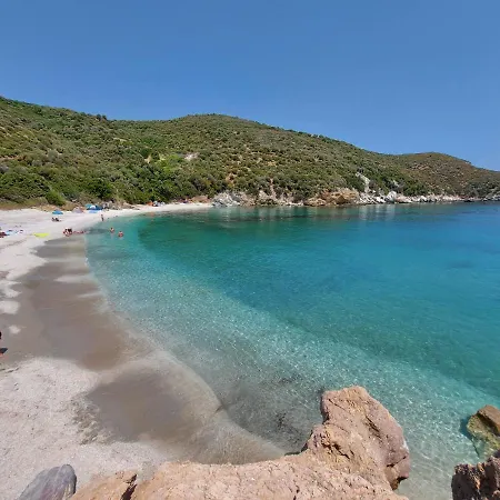 Seagulls - Within Walking Distance From Sea! Petriaí