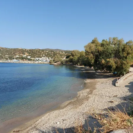 Seagulls - Within Walking Distance From Sea! Petriaí