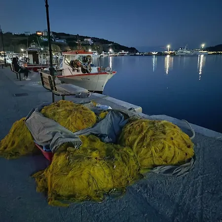 Seagulls - Within Walking Distance From Sea! * Petriaí