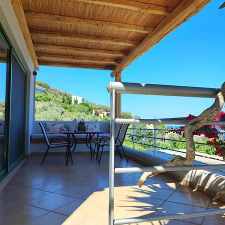 Seagulls - Within Walking Distance From Sea! * Petriaí