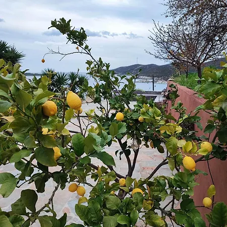 Seagulls - Within Walking Distance From Sea!